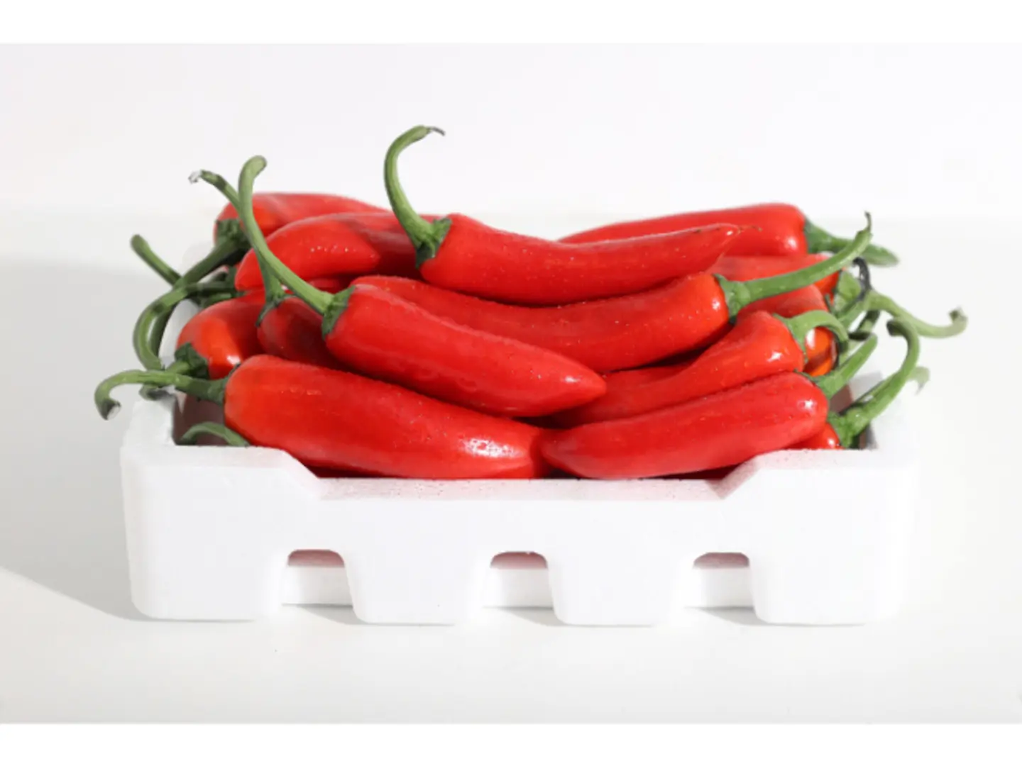 Red Hot Pepper Big Box