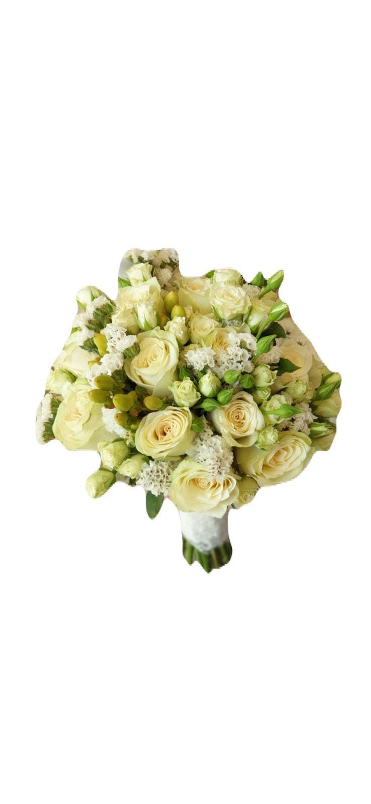 مسكة الجوري الأبيض