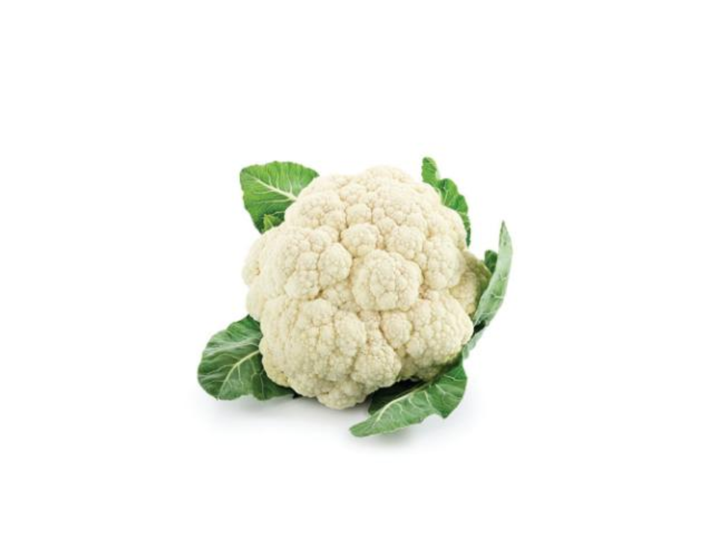 زهرة كيلو