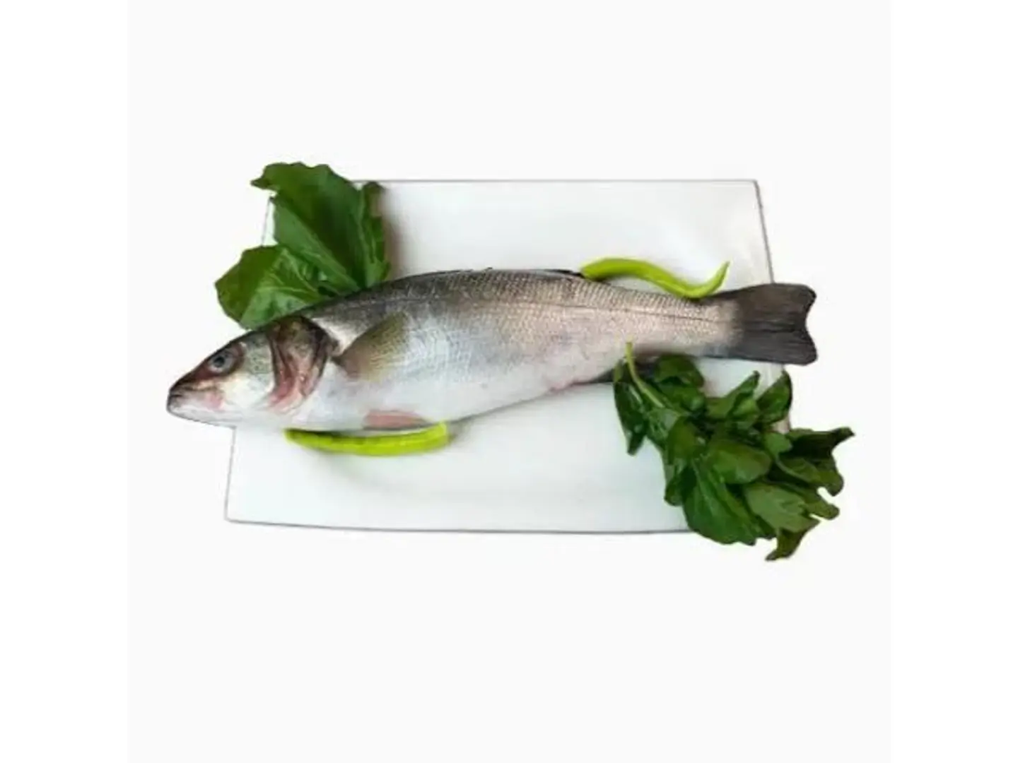 Sea Bass 700 900 Grams