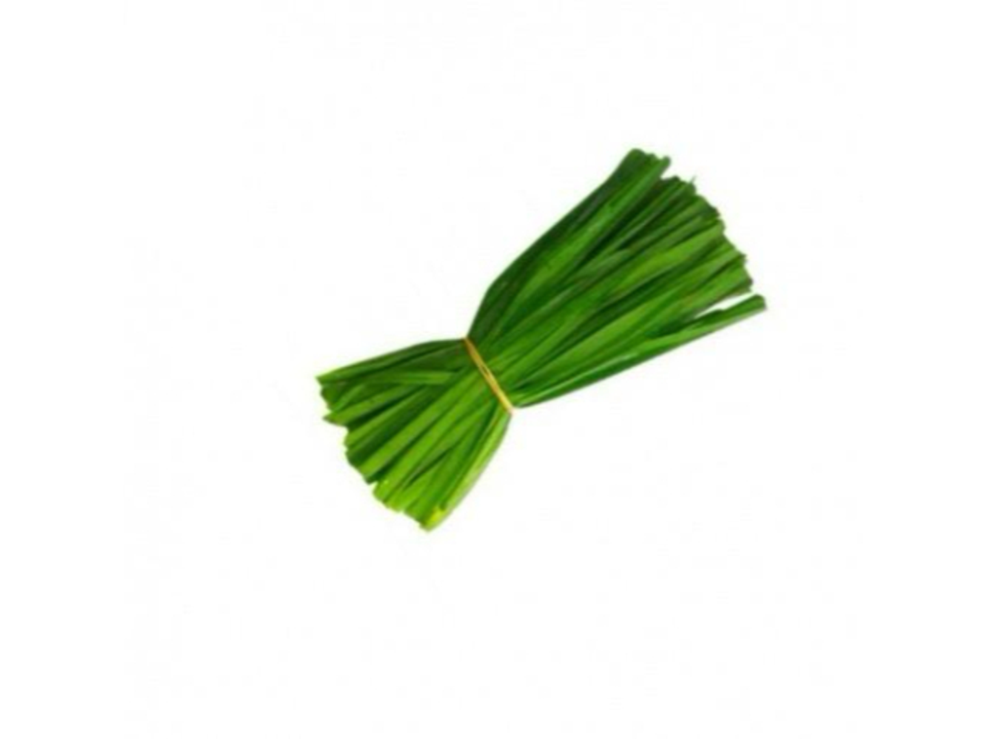 Leek