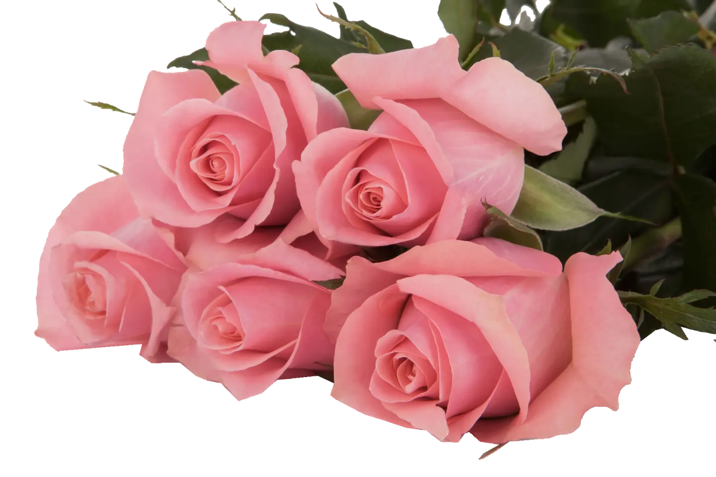 A16 Pink Rose 10 Stem