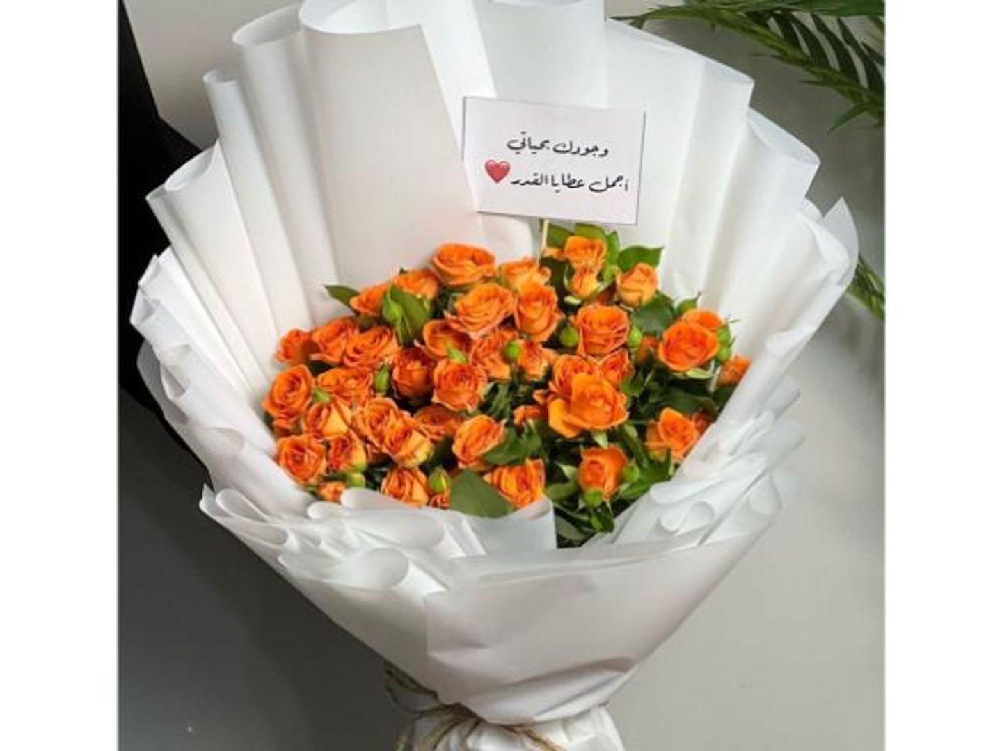 بوكية بيبي جوري برتقالي