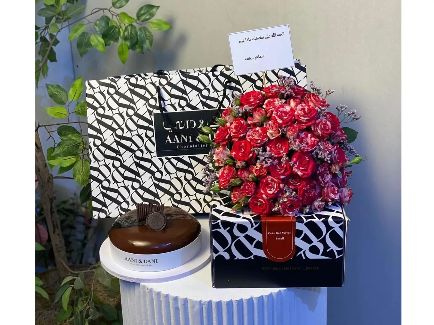 تنسيق رقيق وكيكة آني وداني