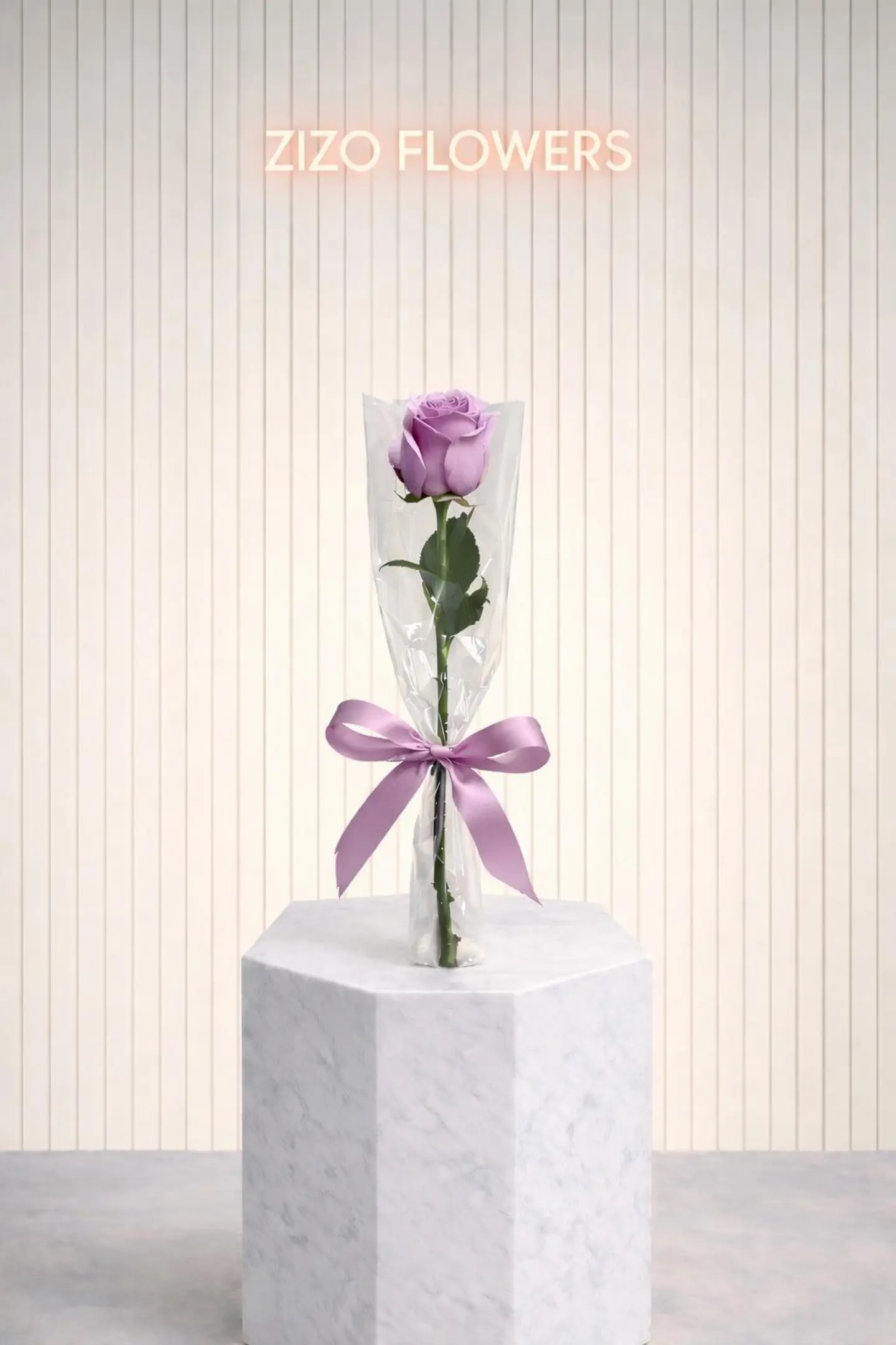 Al Juri Move Distributions