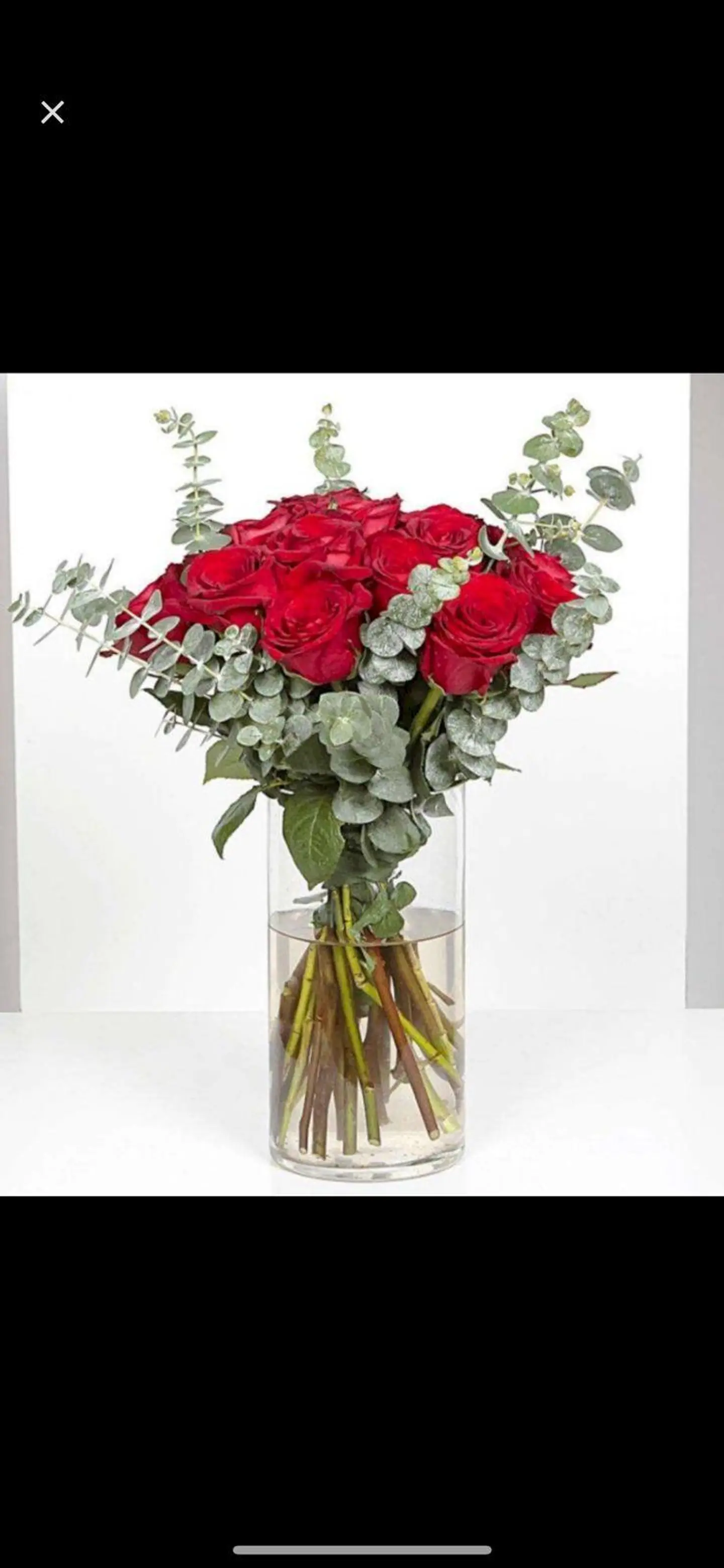 فازه ورد الجوري الحمر والكلبتوس