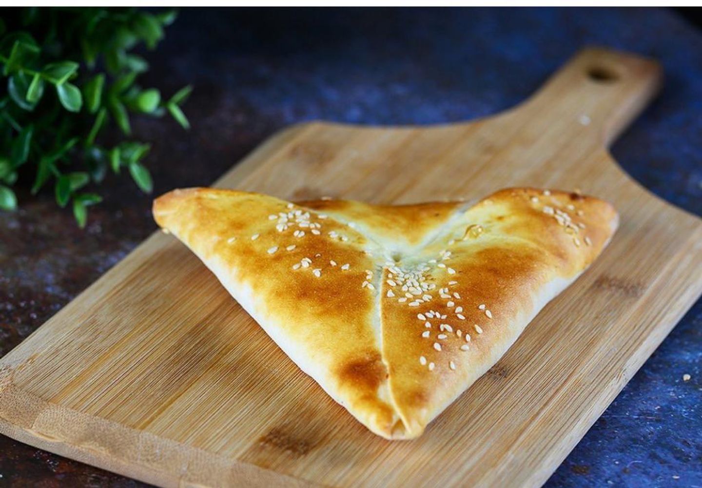 سبانخ