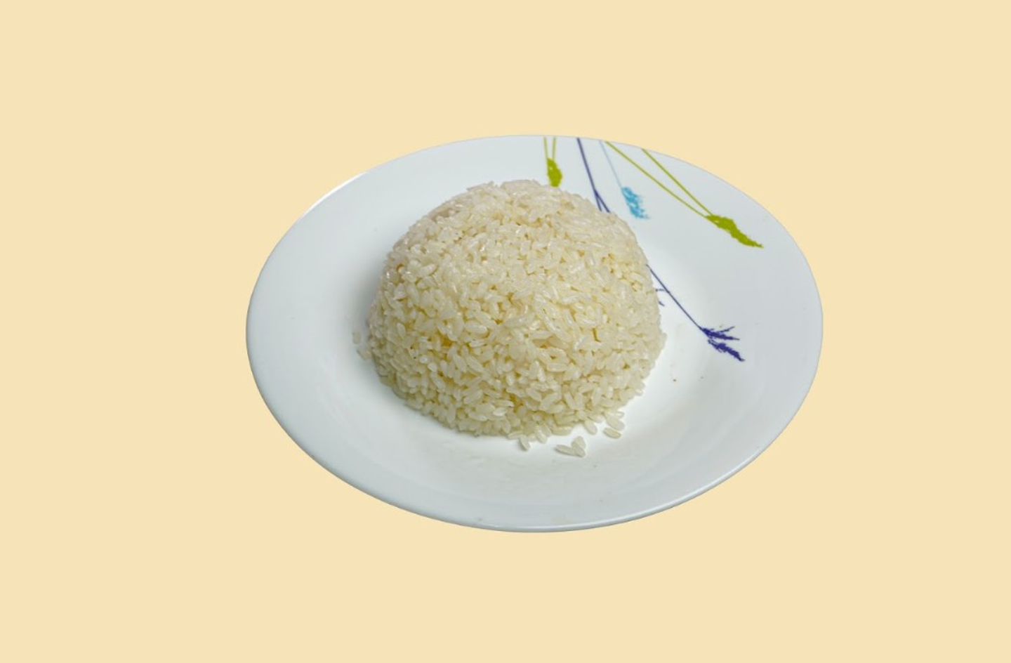 رز أبيض