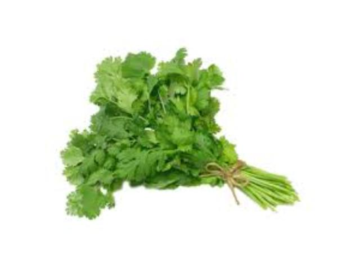 Celery Bundle
