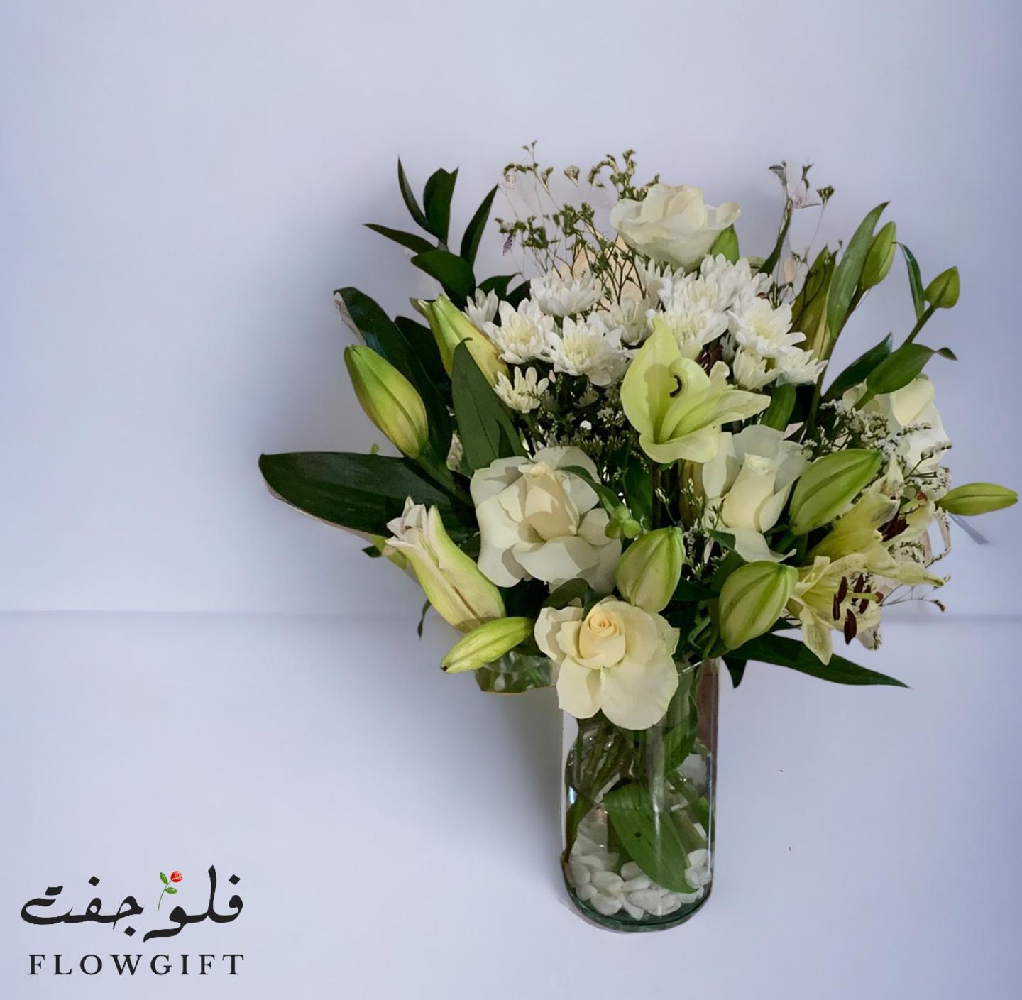 فازة ليلي