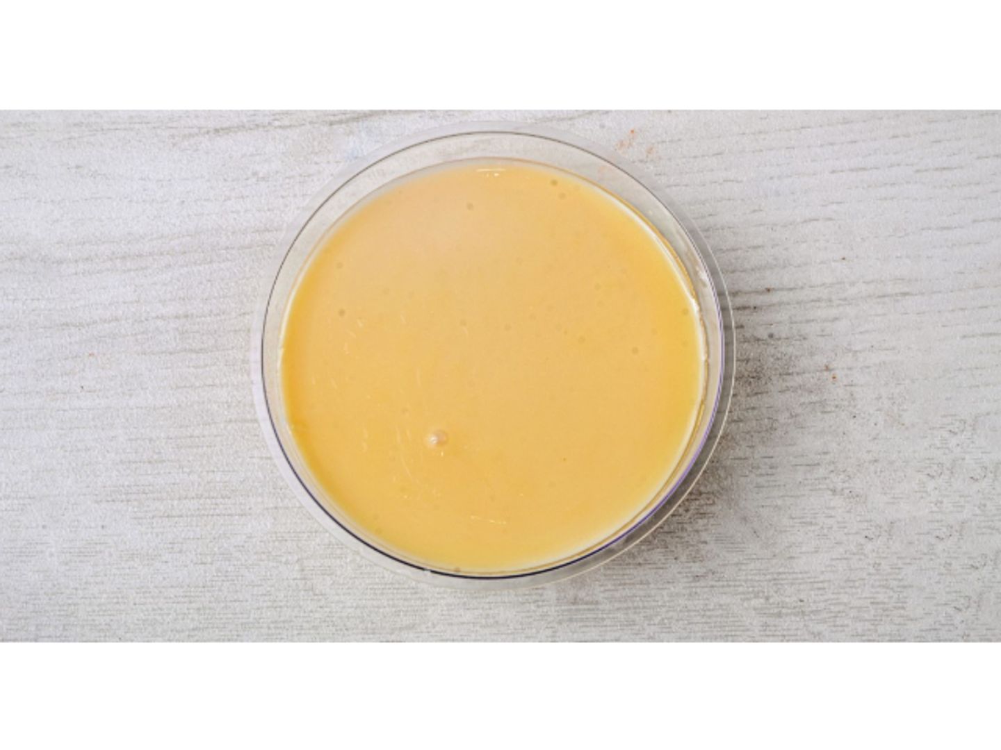 Cream Caramel