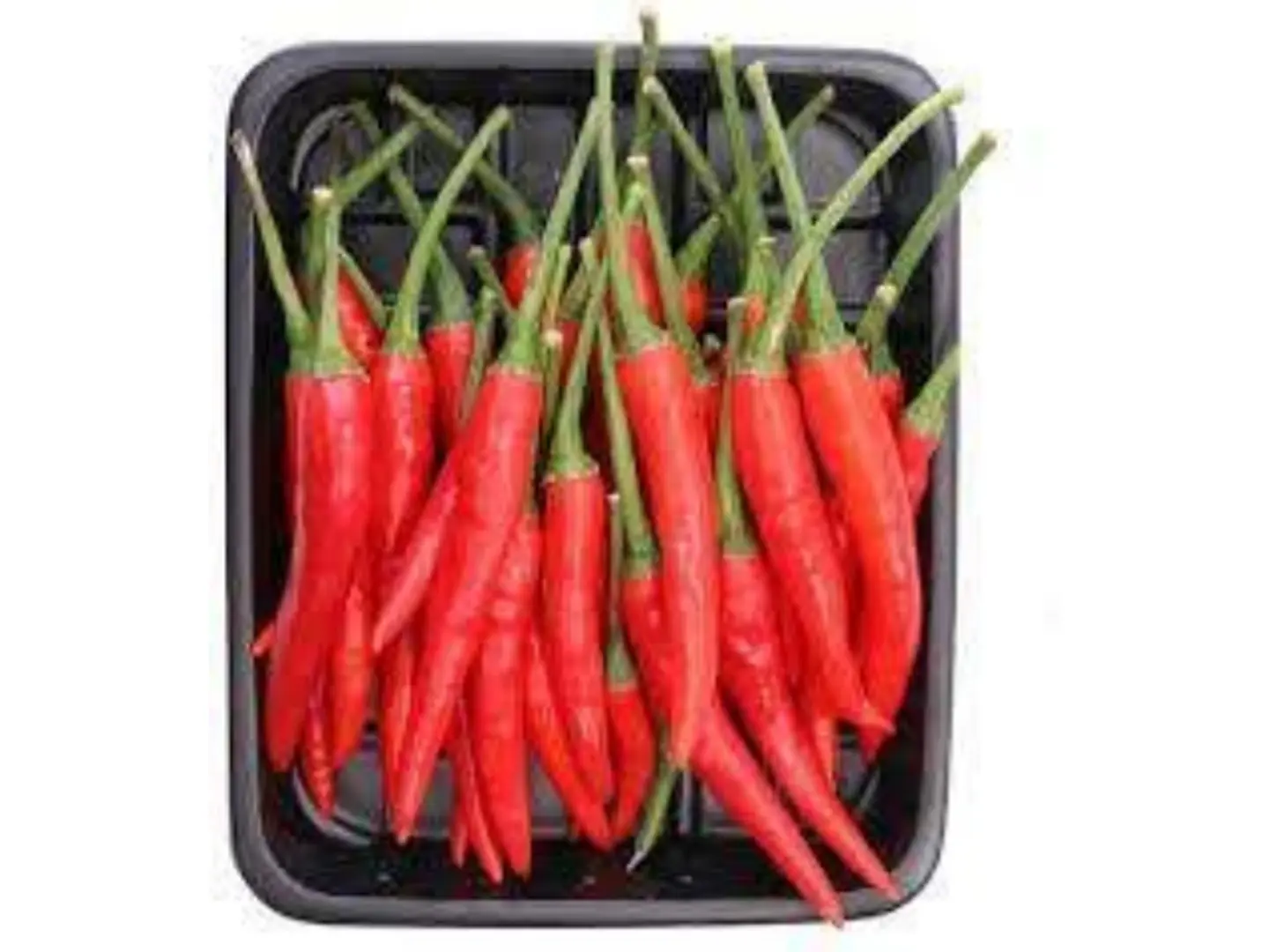 فلفل حار احمر تايلندي