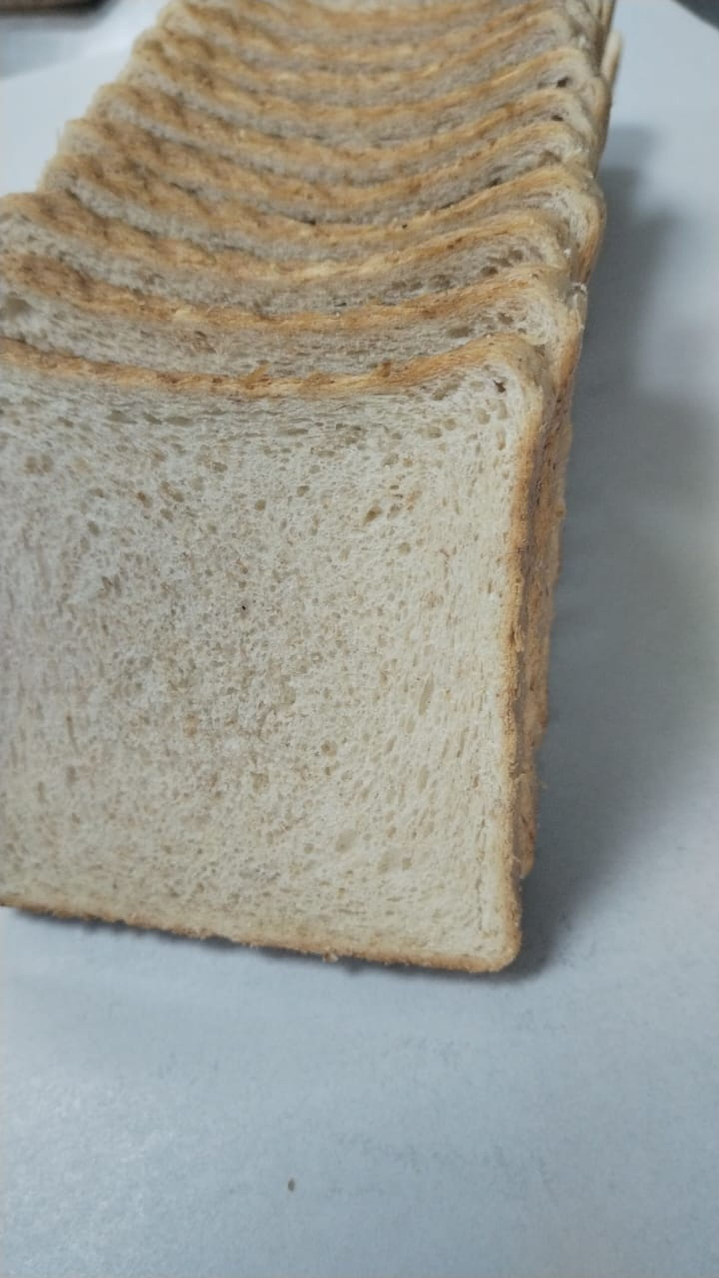 خبز توست بر