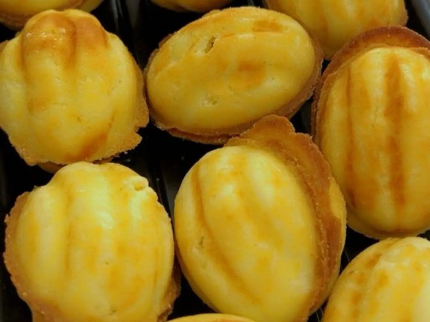 جوزية