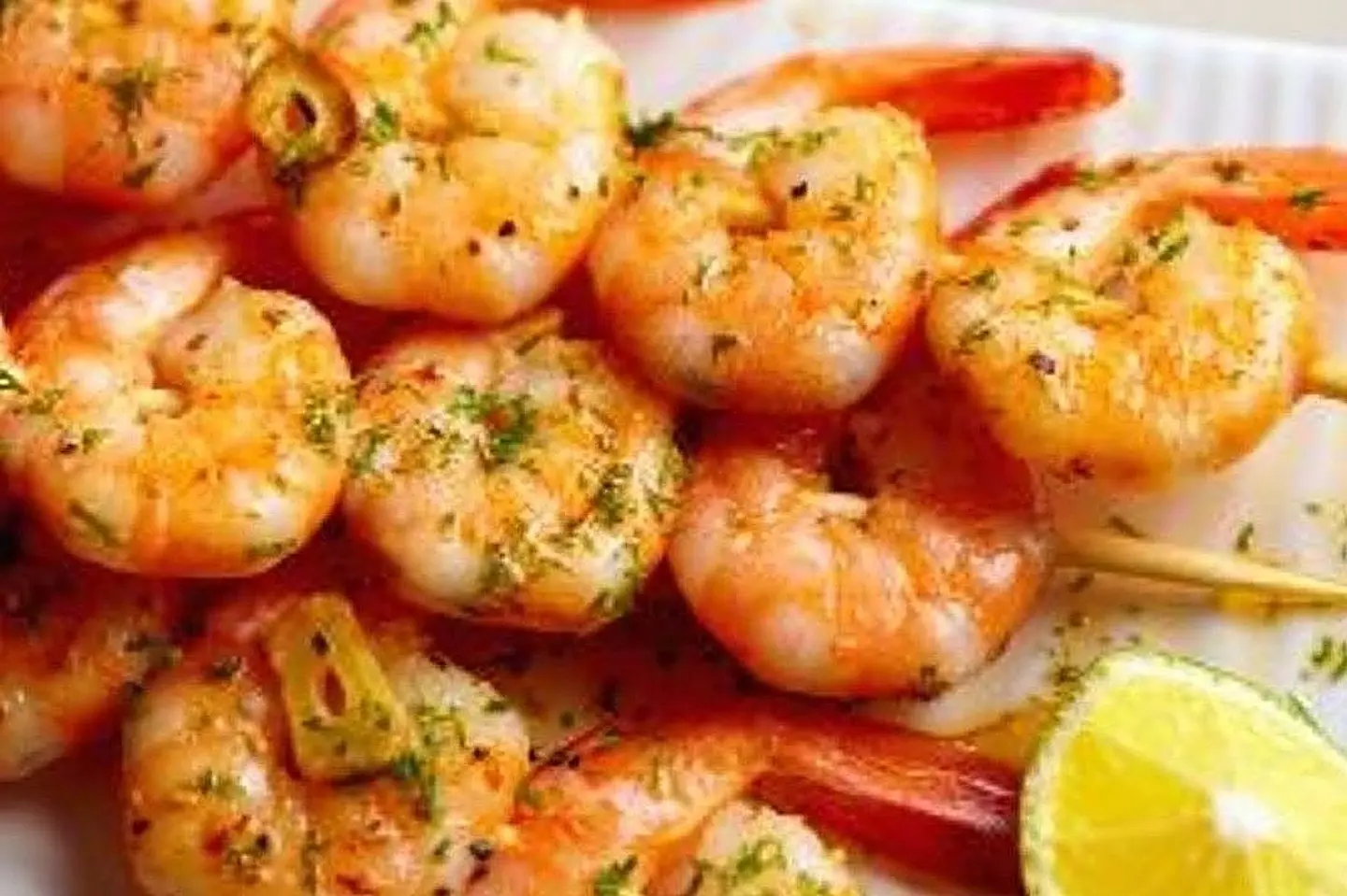 Shrimp