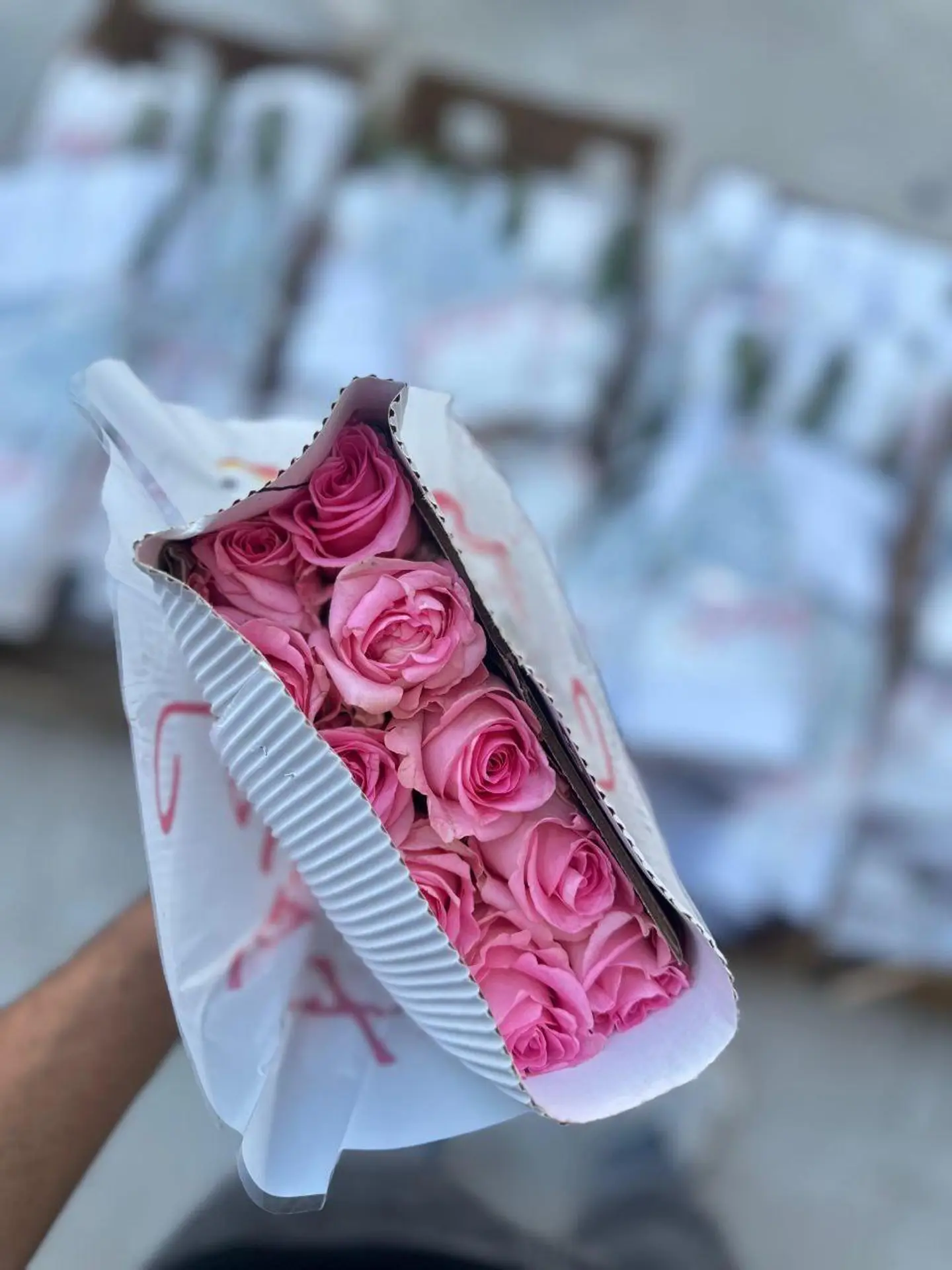 ربطة جوري وردي