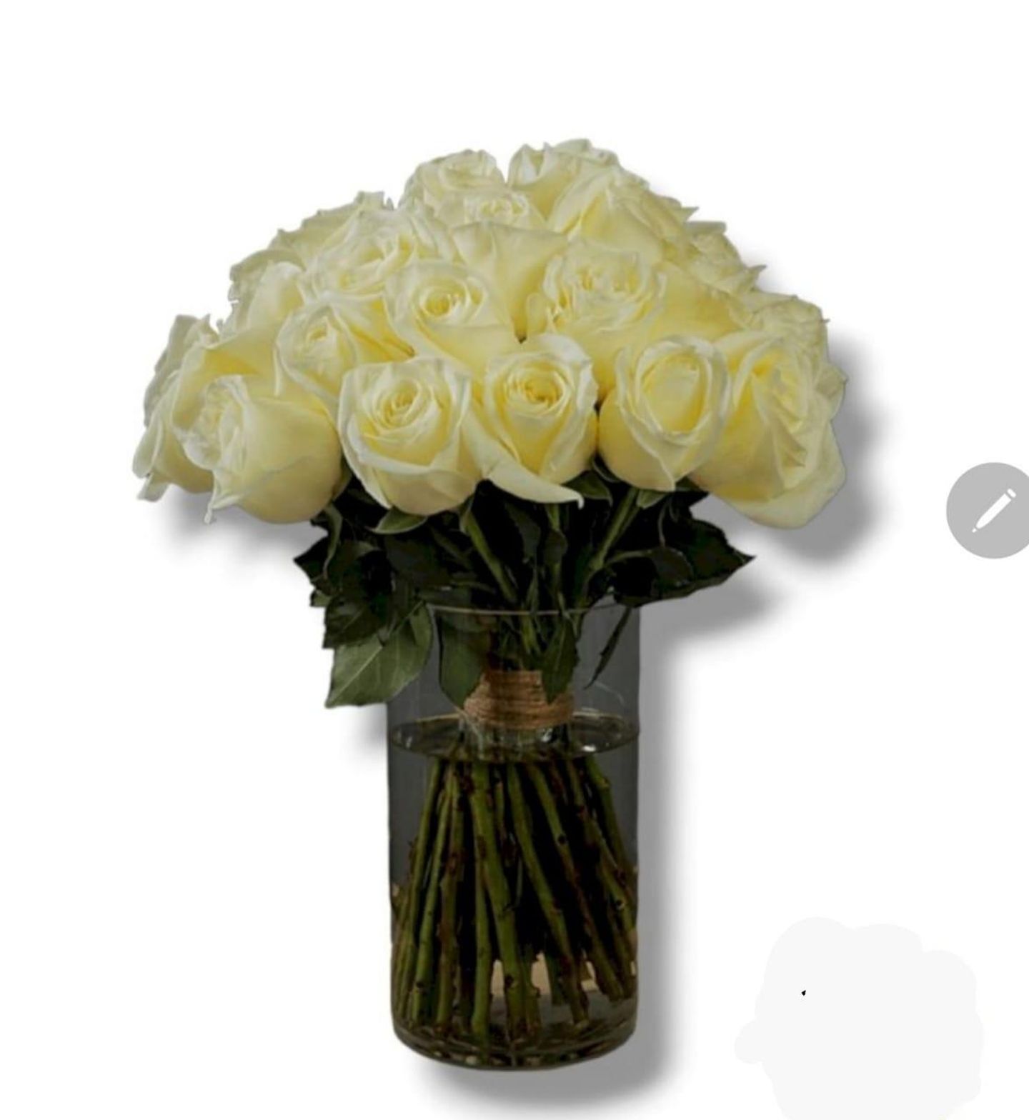 Snow White Vase