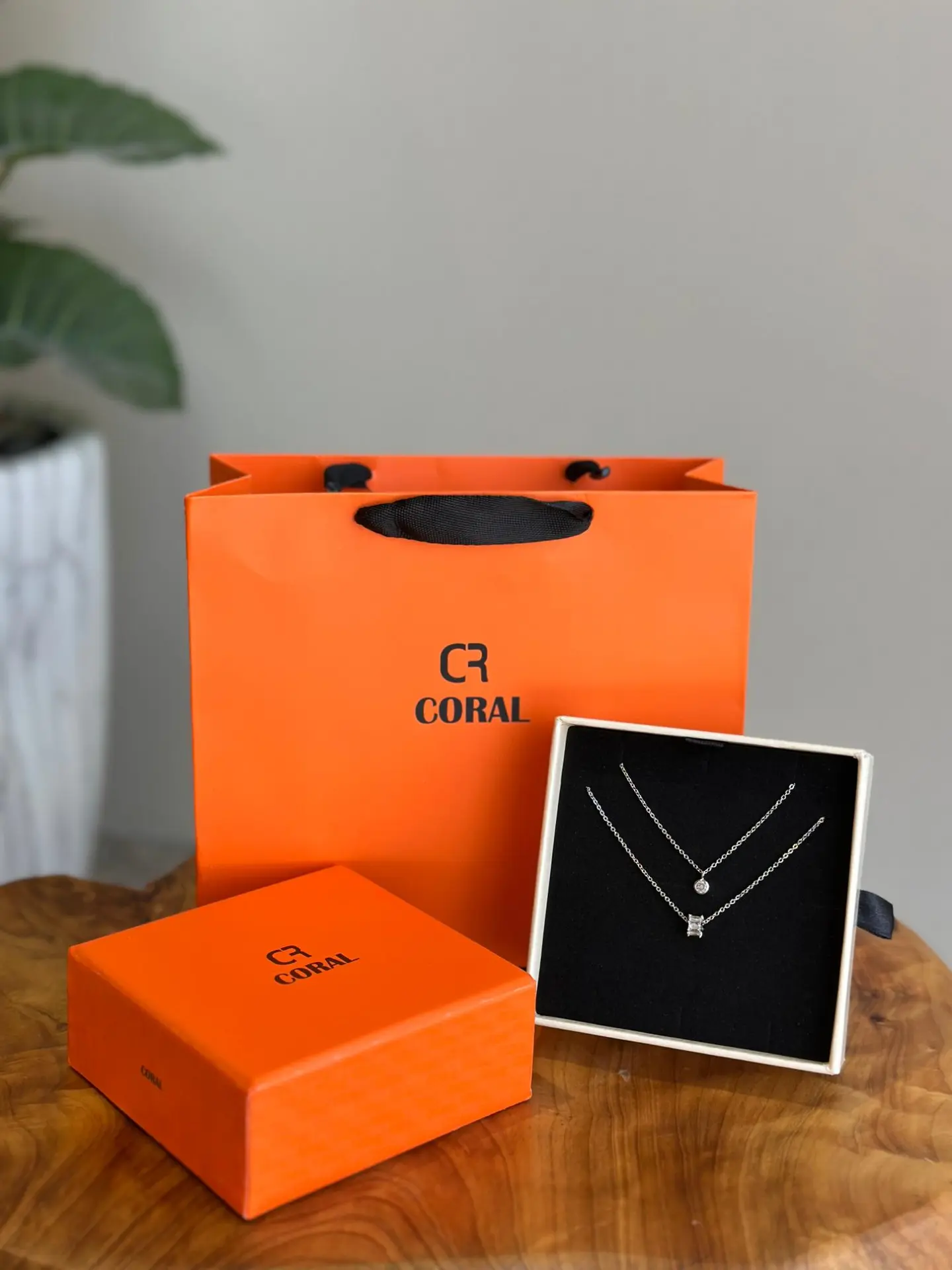 Coral Brand Silver Chain D