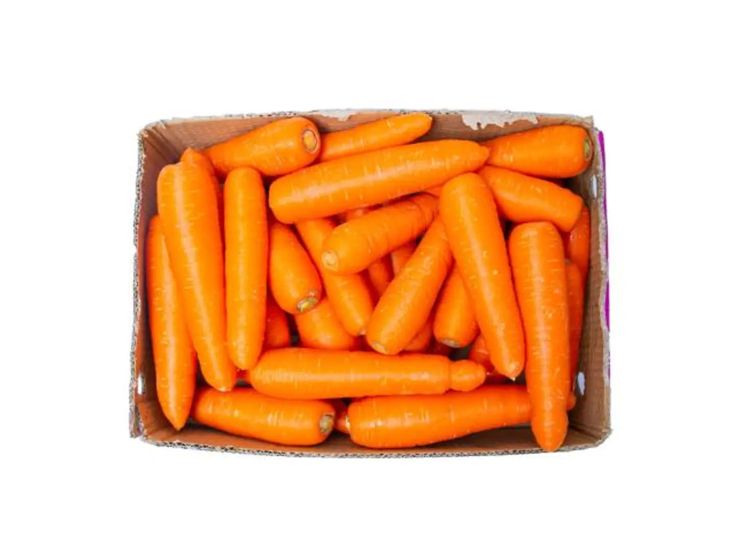 Medium Carrot Box