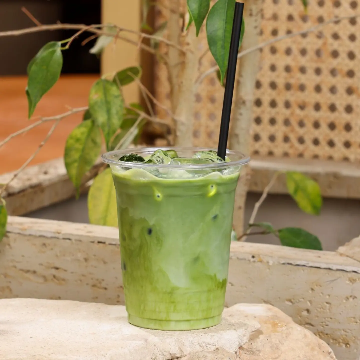 Iced Matcha