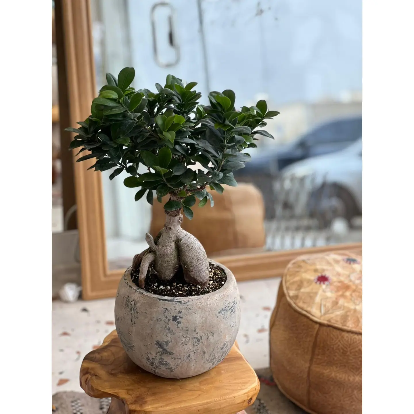 Vase With Artificial Stone