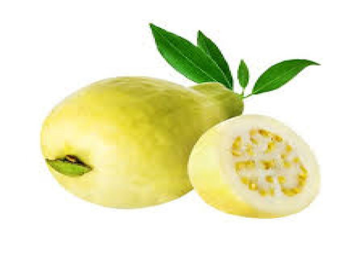 جوافه