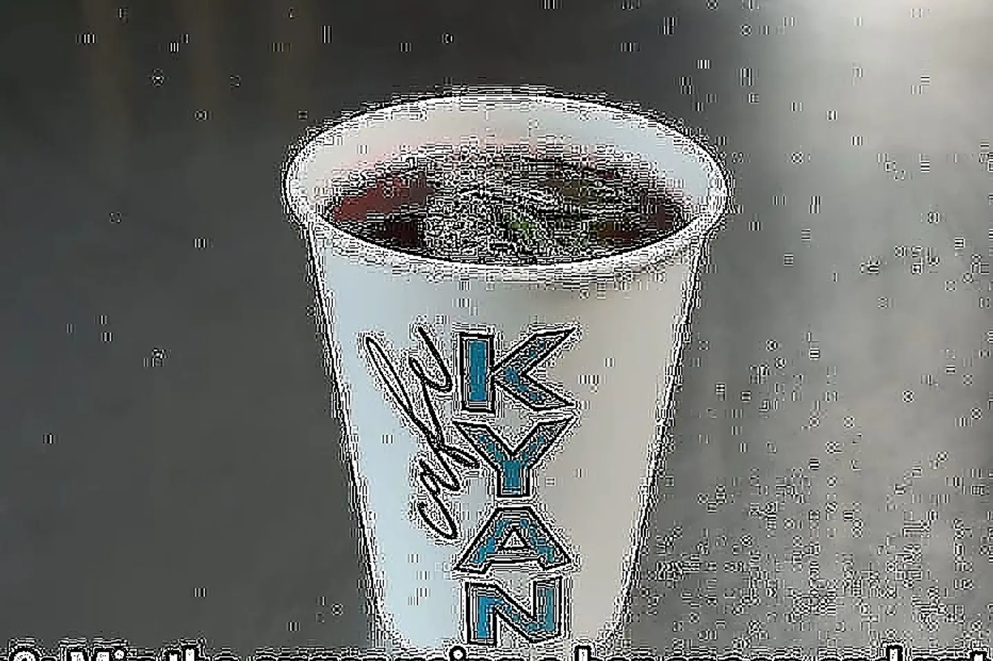 Hot Karkadeh