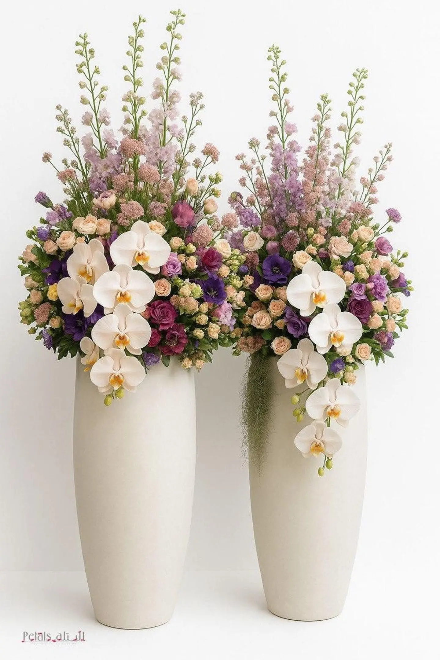 الاناقة الملكية