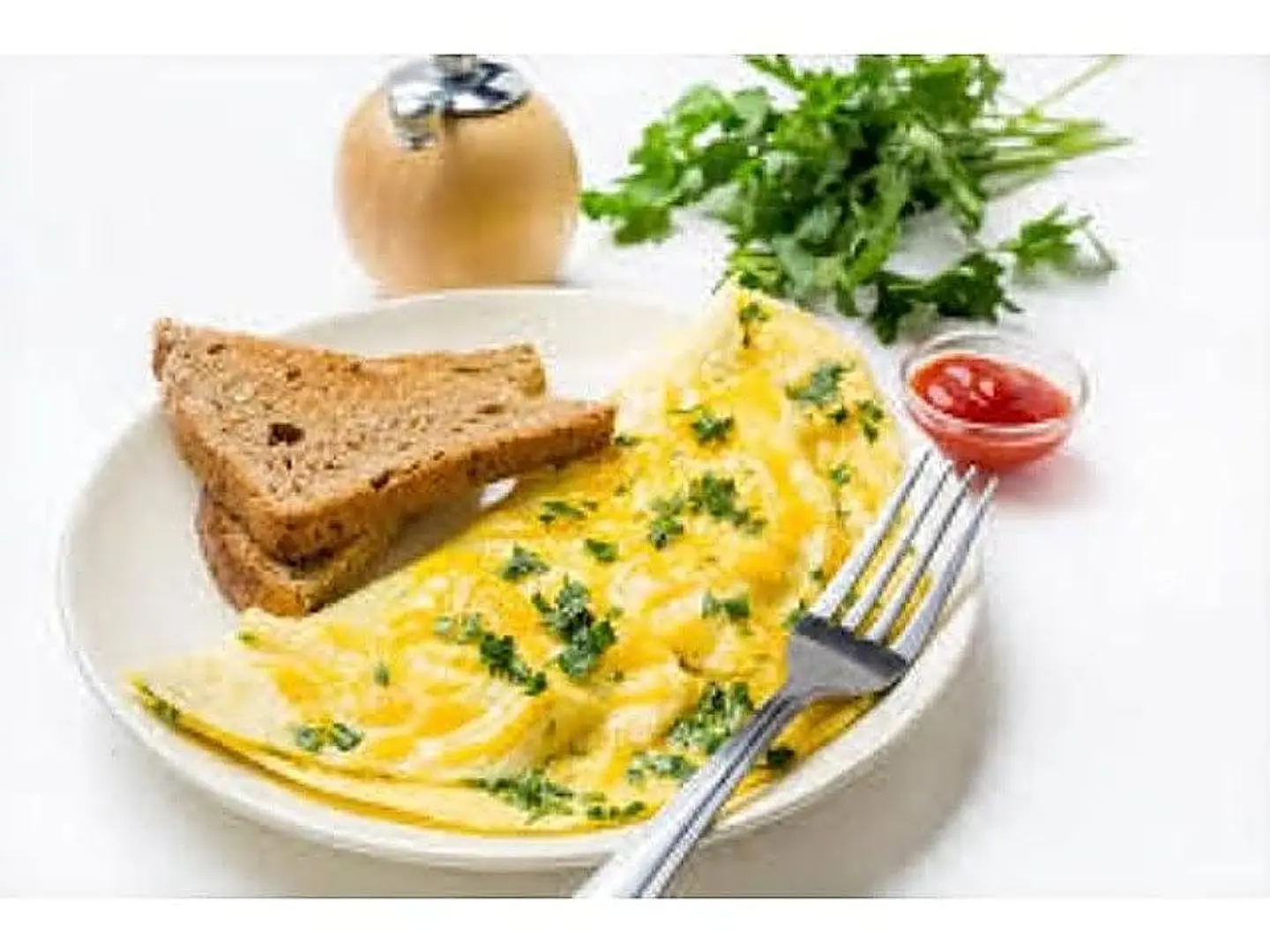 Cheese Omelet