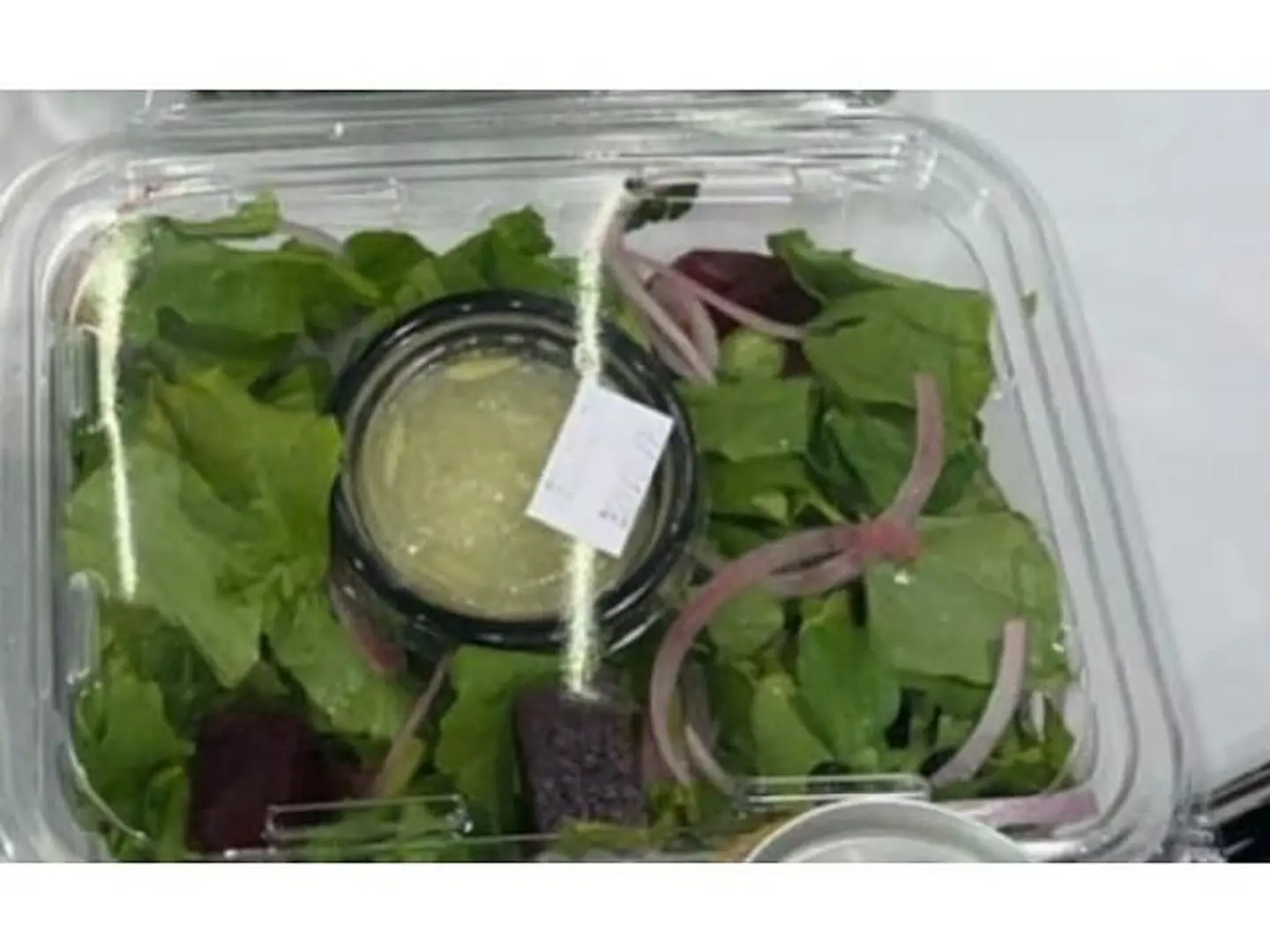 سلطه جرجير مع الشمندر