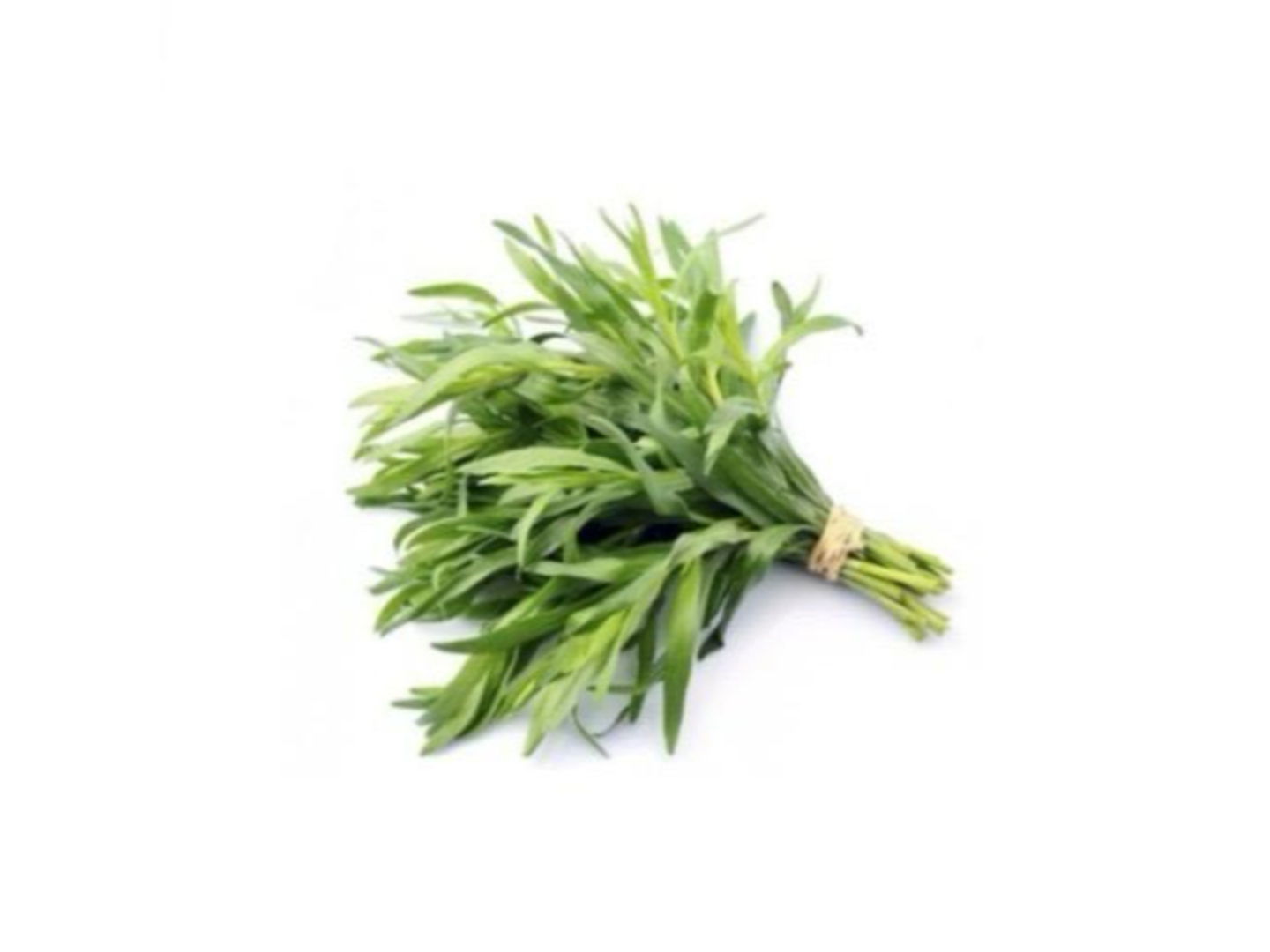 Basil