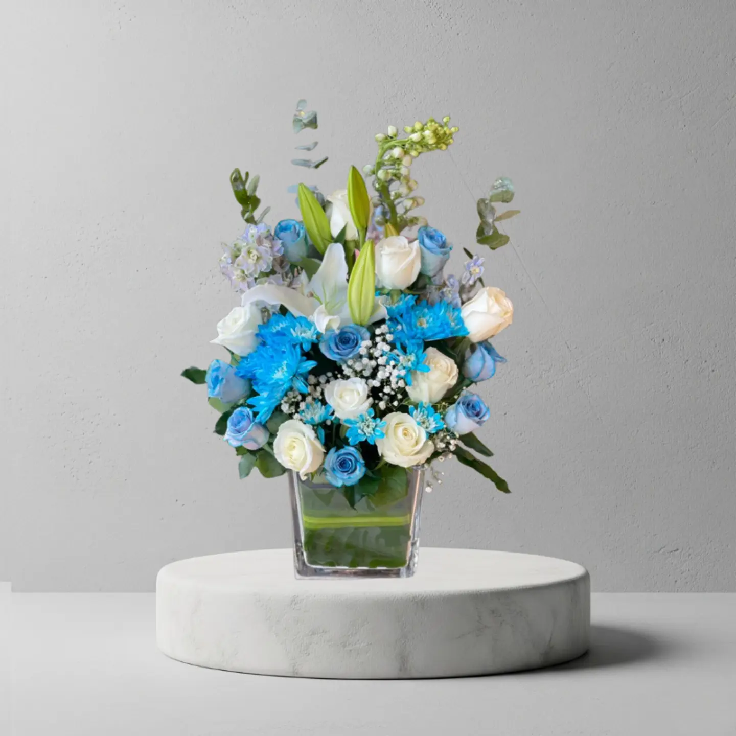 فازا مولود 4