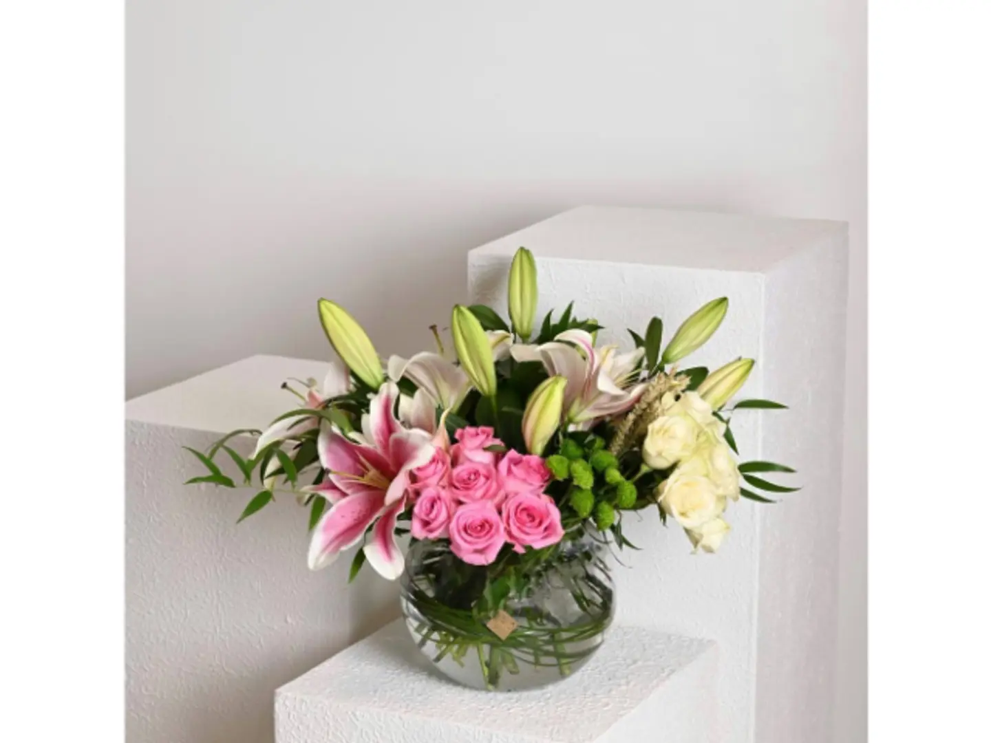 فازة اونيكس