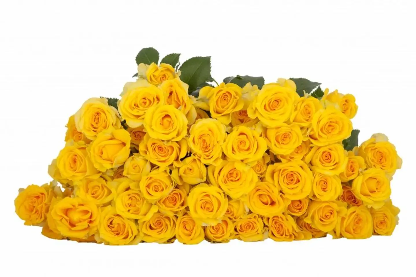 A44 Yellow Spray Rose 10 Stem