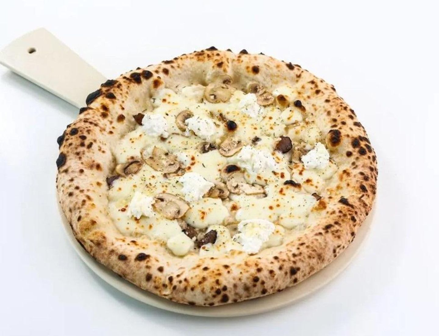 Truffle