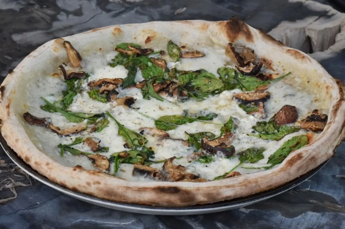 Shiitake E Portobello