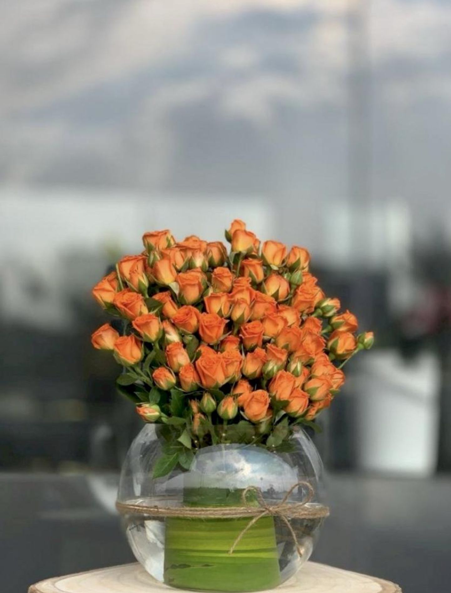 فازة فلورنس