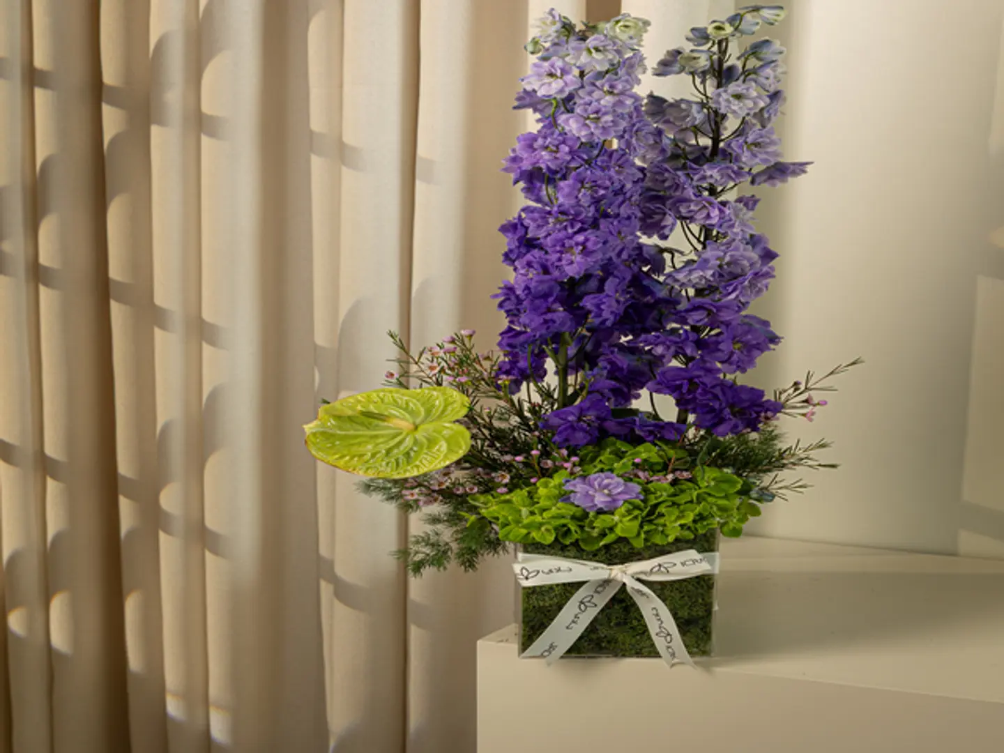 فازة همسه دليفيوم الانيقة