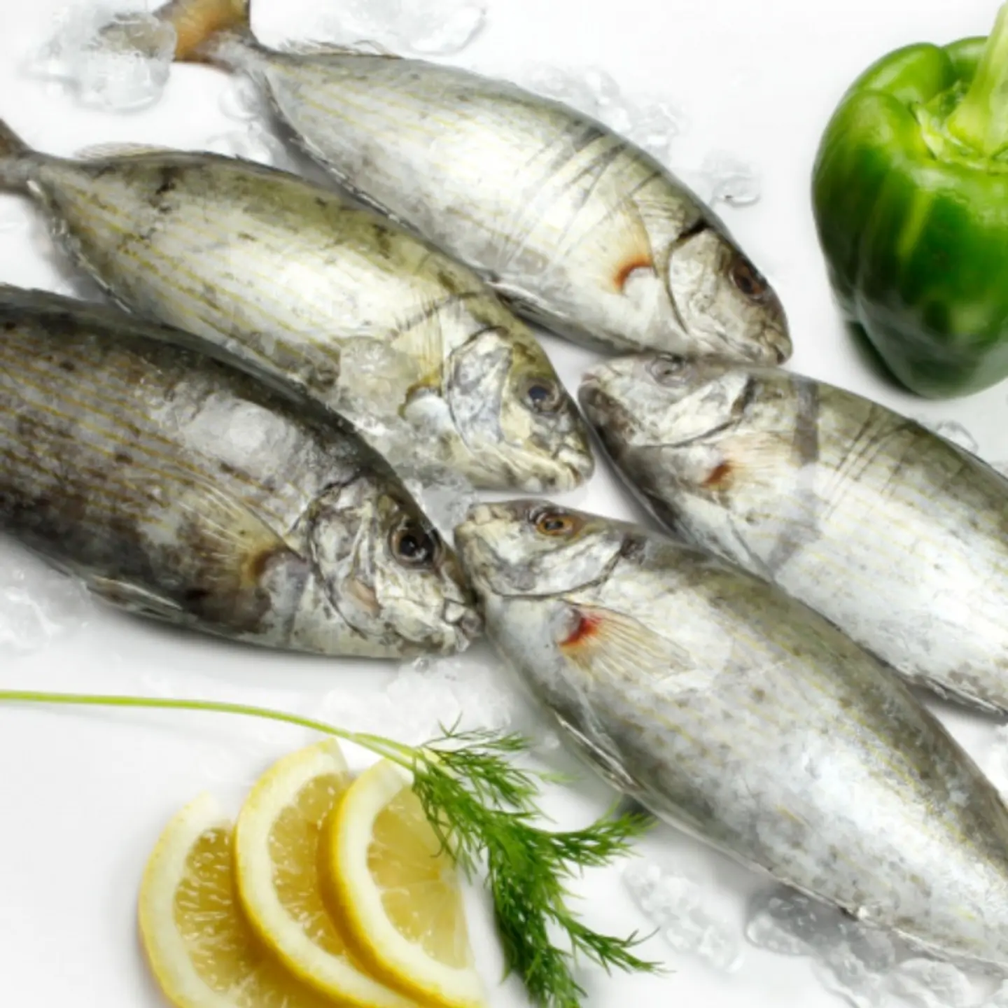 Fried Fish Sigan 500 700g