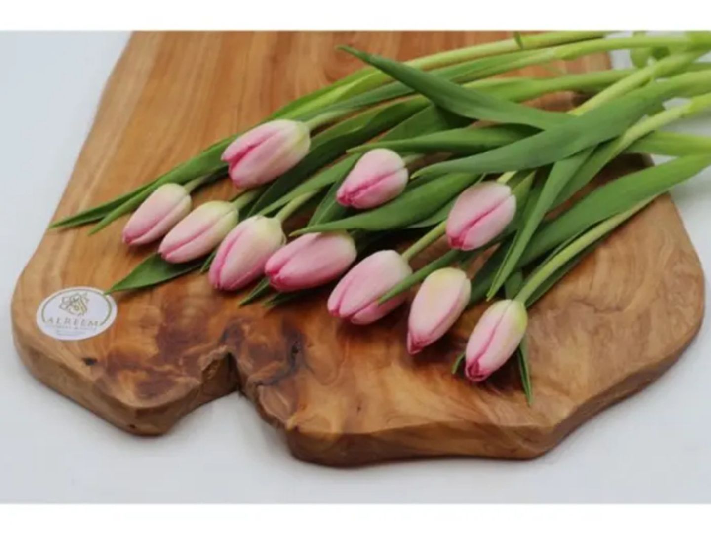 Pink Tulip