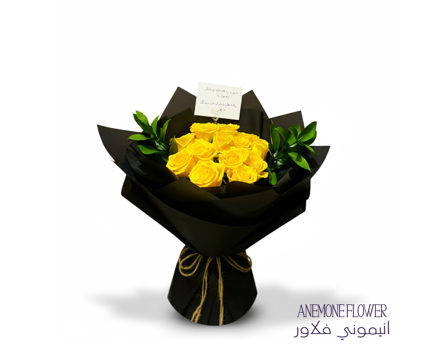 باقة إشراقة الليل