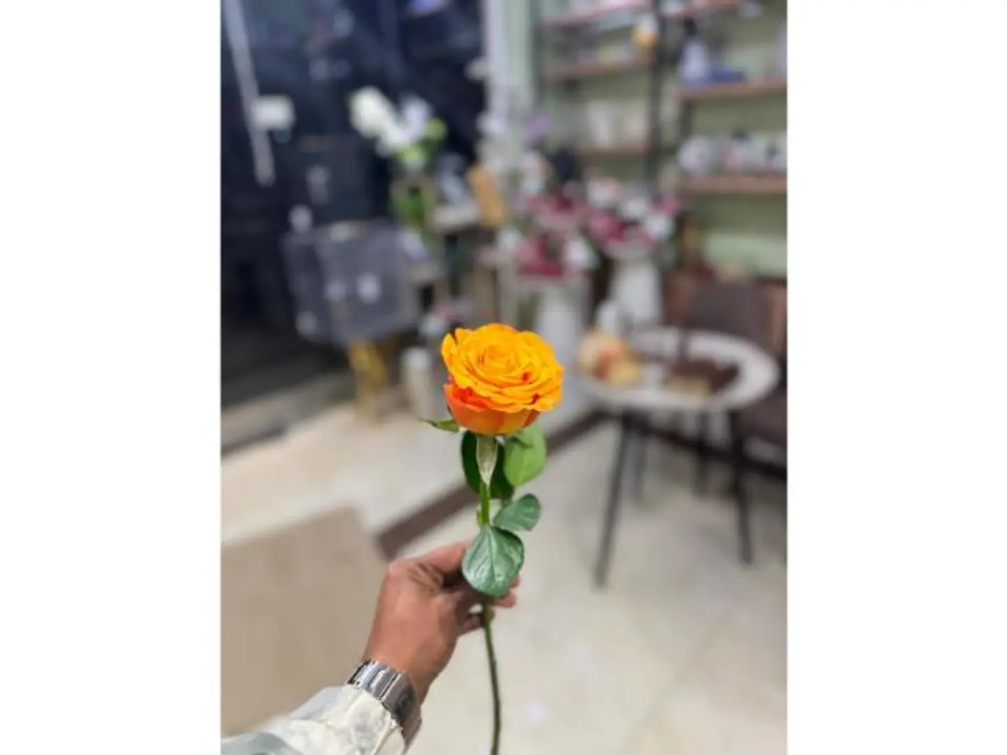وردة جوري برتقالي
