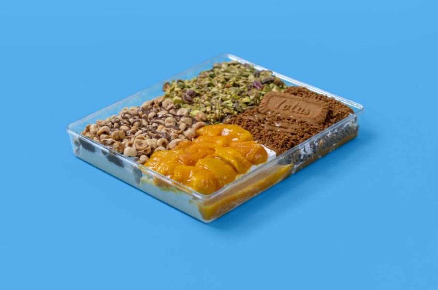 صندوق عائلة قشطوطة في 4