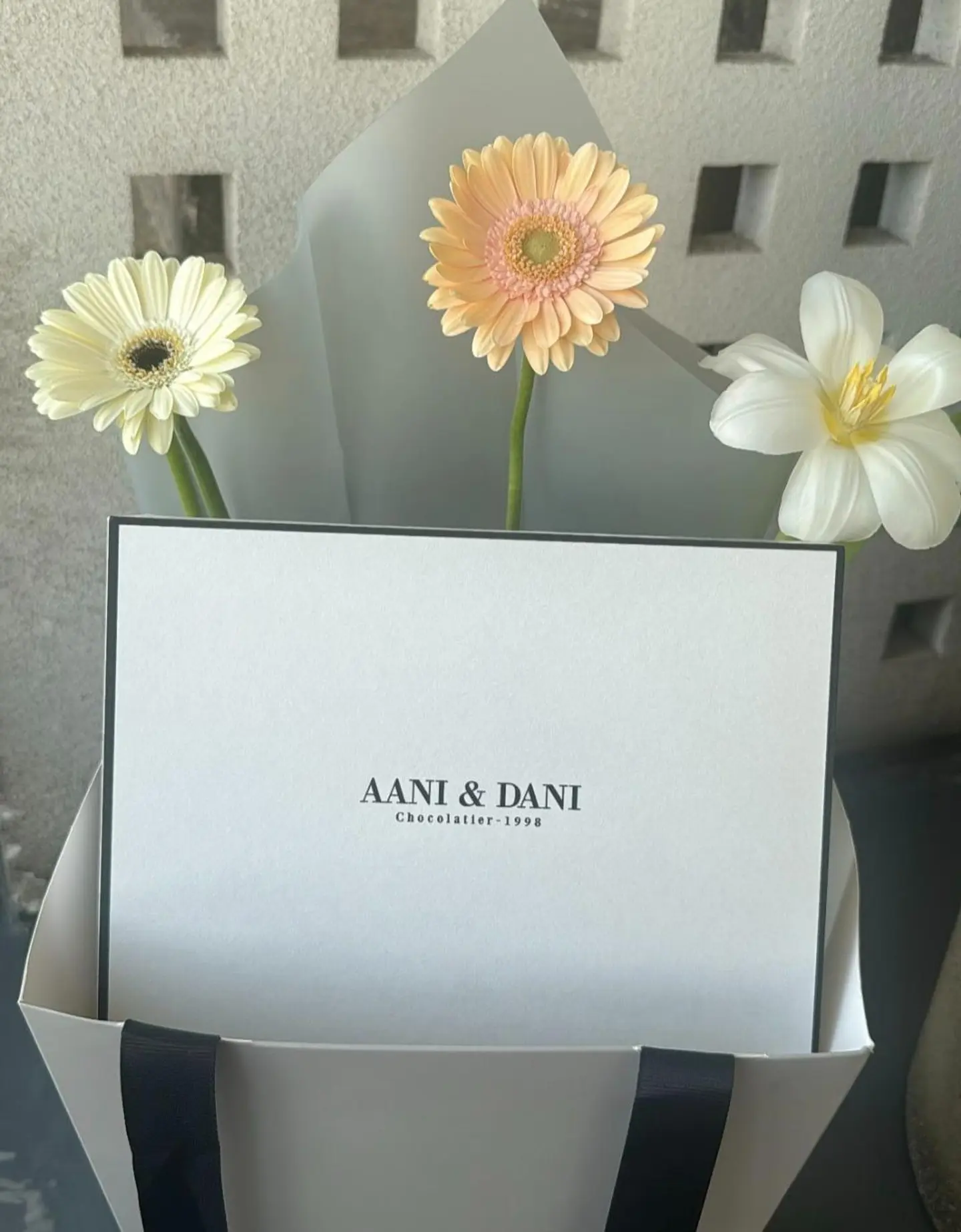 Chocolate Box Ani Dani Large