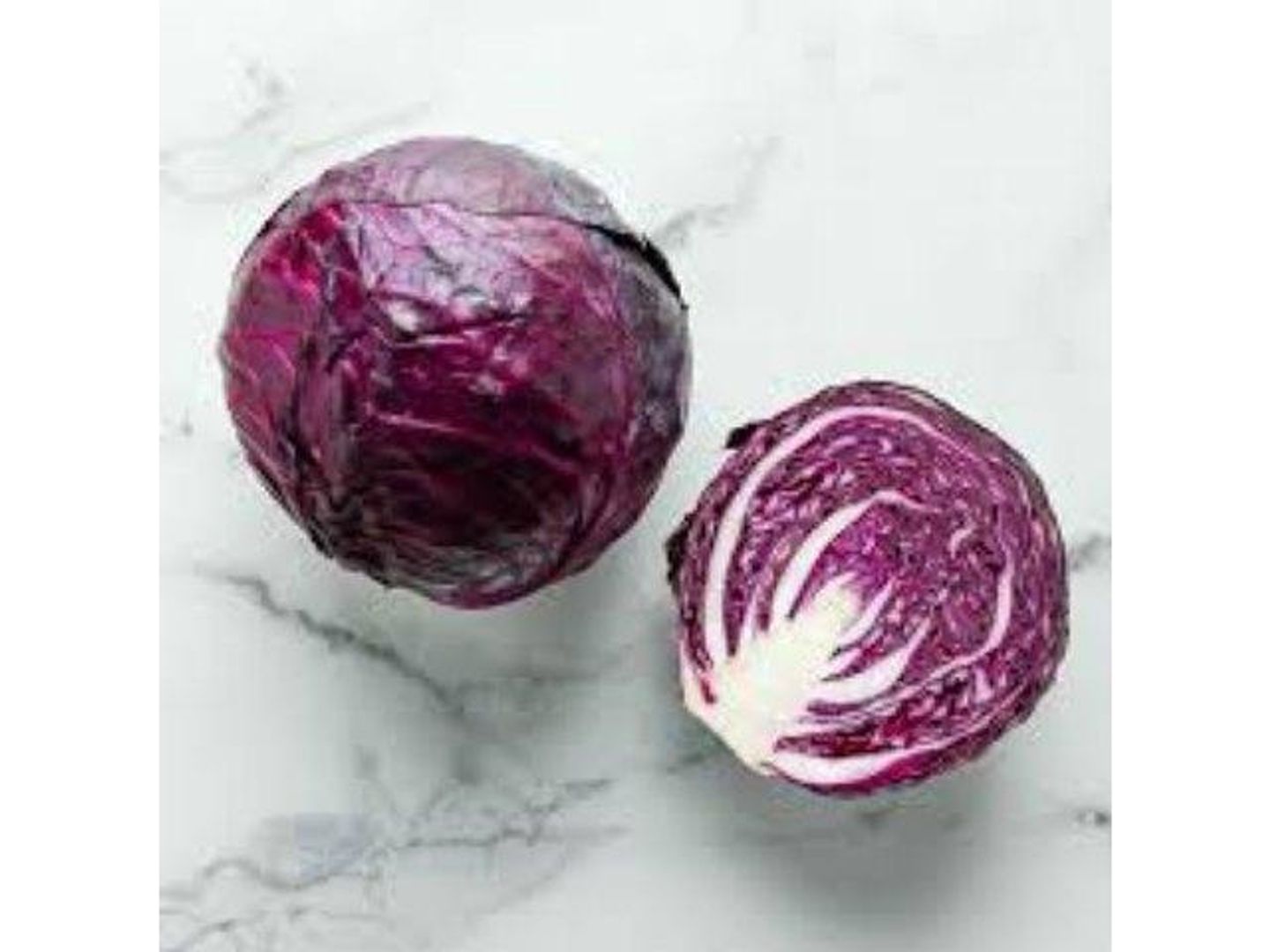 Cabbage Red