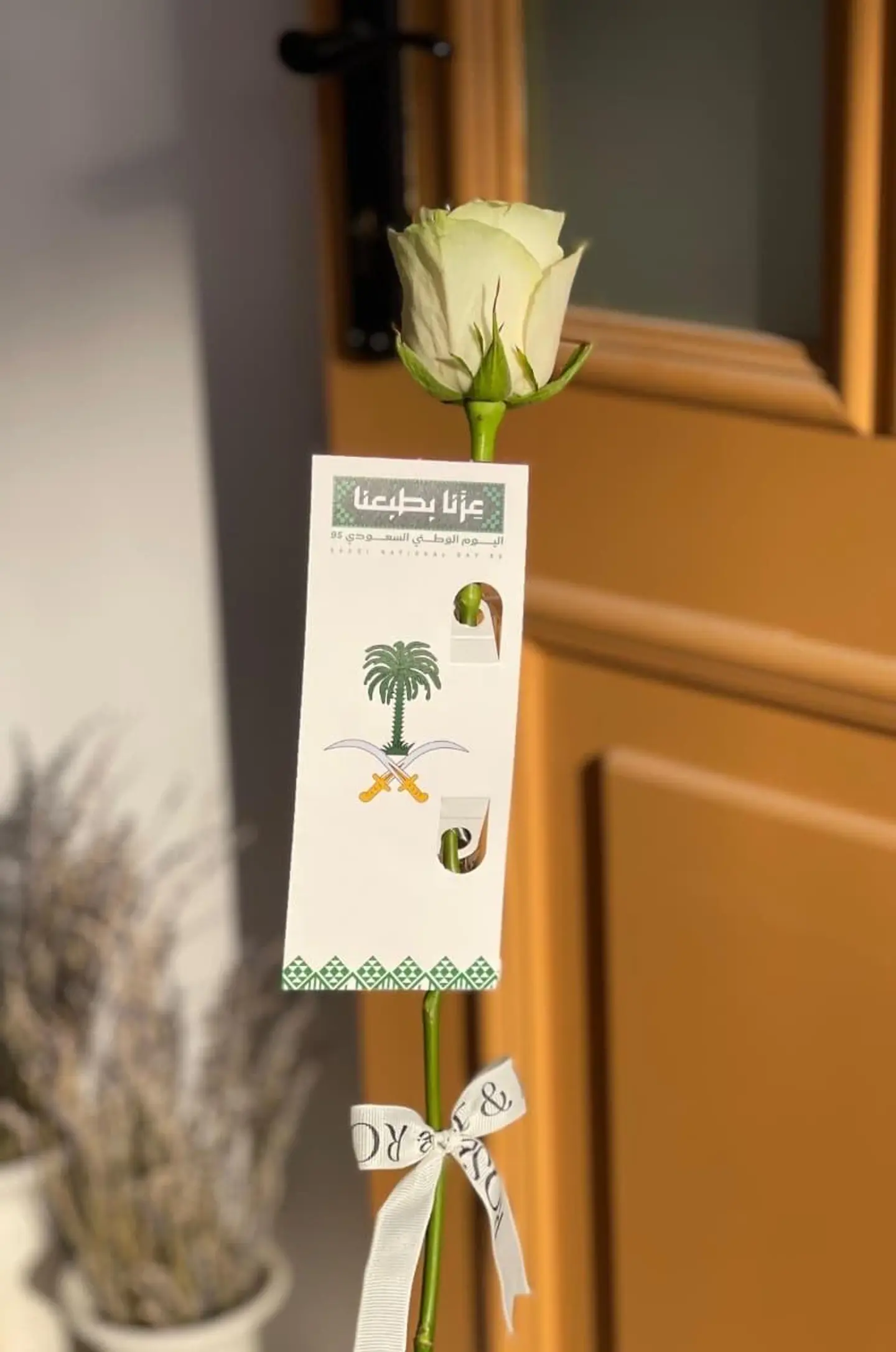 عرض توزيعات اليوم الوطني