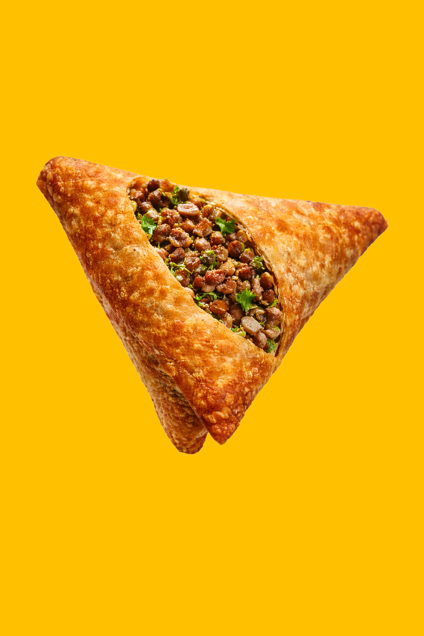 Meat Samosa 3pc