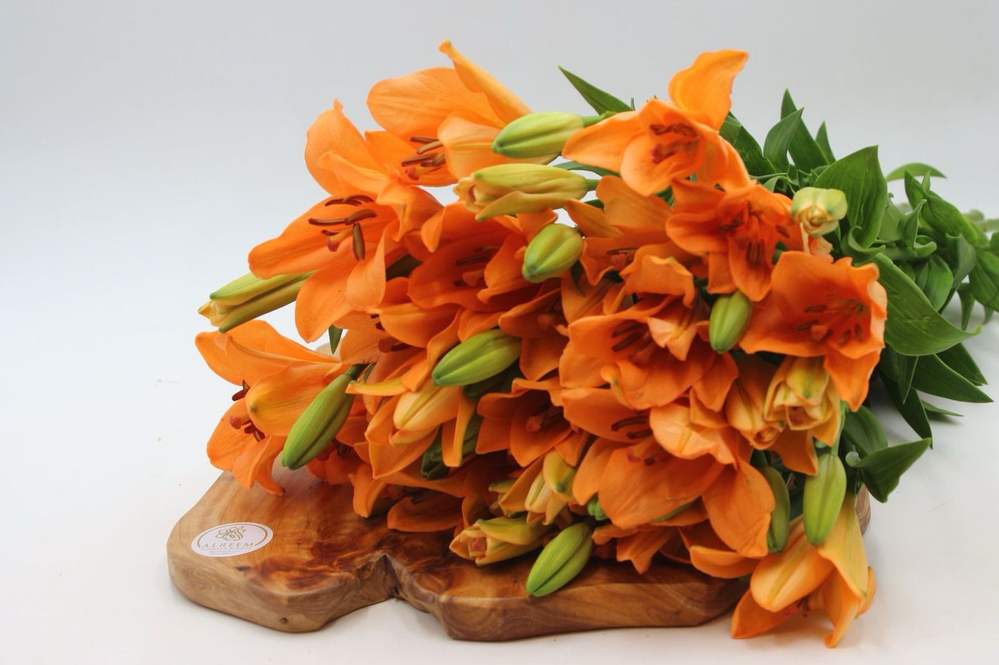 Lilium Orange