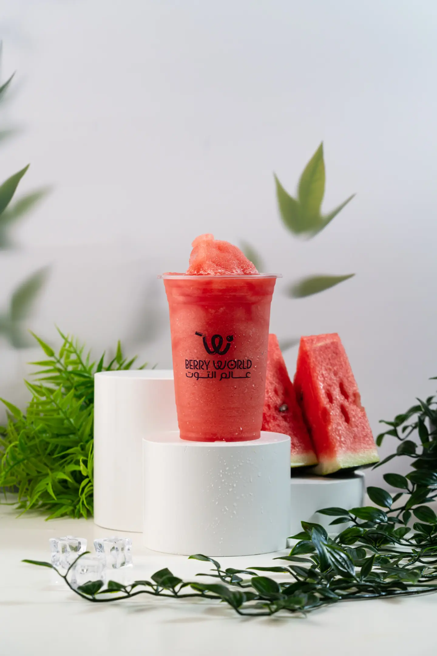 Watermelon Juice - Medium