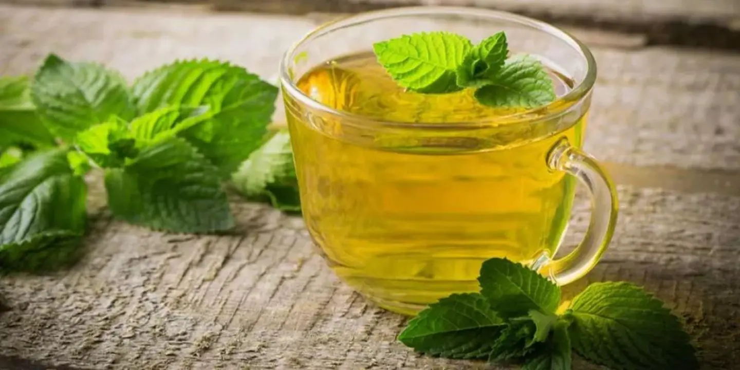 Green Tea 1 L